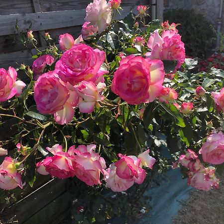 Les Hortensias Grand-Fougeray Bagian luar foto